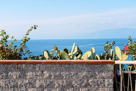 Beautiful view on cactuses and plants on sunny summer day in Calabria. Beach vacation.の写真素材