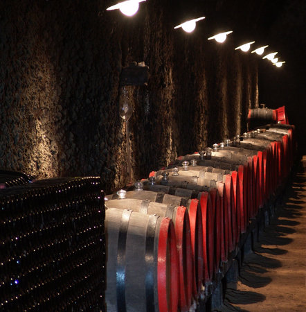 Barrels in a wine-cellar. Hungary, Tokaj.
