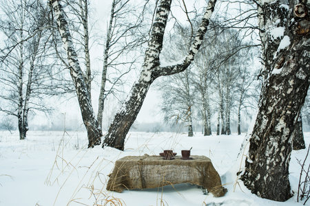 Two cups of tea on background of a winter landscape, outdoorsの写真素材