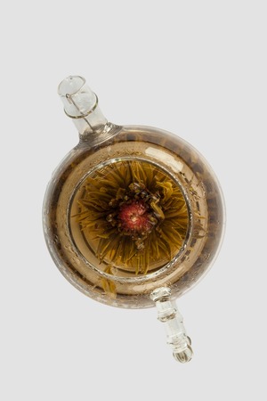 Blooming green tea in glass teapot on a white backgroundの写真素材