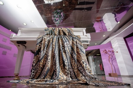 Tiger lying on a white cloth pianoの写真素材