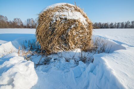 Hay stack in the snowy field winterの写真素材