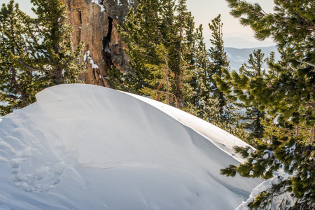 Mountain in winter snow with fir trees