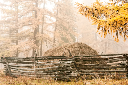 Autumn haystack behind a wooden fence in the fogの写真素材