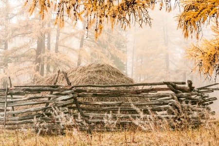 Autumn haystack behind a wooden fence in the fogの写真素材