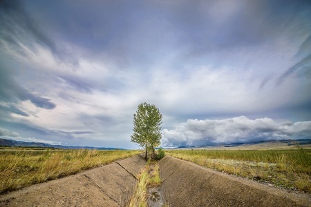 beautiful summer mountain and blue sky landscapeの写真素材