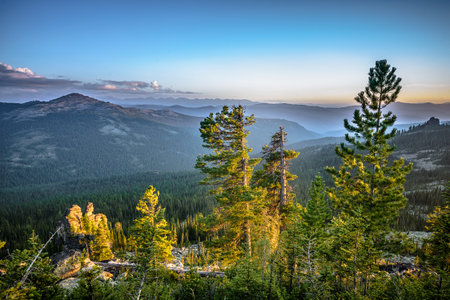 beautiful mountain landscape with green trees at sunset
