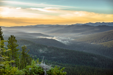 beautiful mountain landscape with green trees at sunset