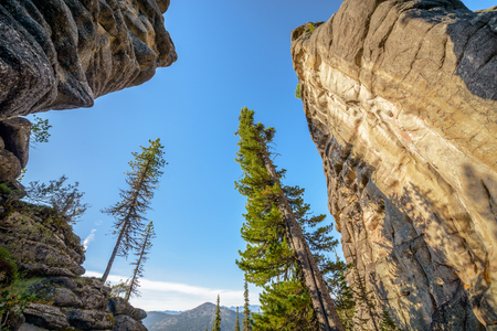 beautiful mountain landscape with trees and rocksの写真素材