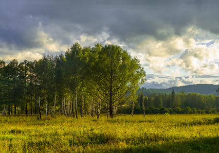 Summertime with a beautiful blue sky, clouds and fieldの写真素材