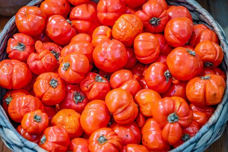 Ripe of red tomatoes in the basket on farmer market.の写真素材