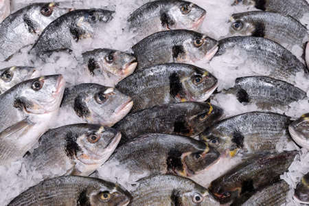 Fresh chilled fish (Dorada) lying on crushed ice in a supermarket. Macro photo, close up top view.の写真素材