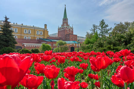 Moscow, Alexander Garden, landscape with blooming flowers and view at tower of Moscow Kremlin.のeditorial素材