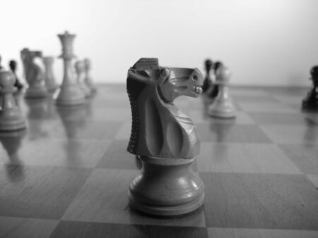 Close up on knight on chess board during gameの写真素材