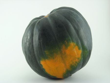Green and orange acorn squash isolated on a white background.の写真素材