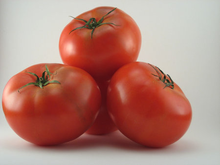 Four Tomatoes isolated on a white background.の写真素材