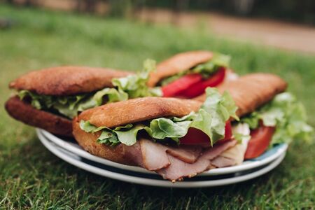 Close-up big plate with appetizing fresh sandwich on green grassの写真素材