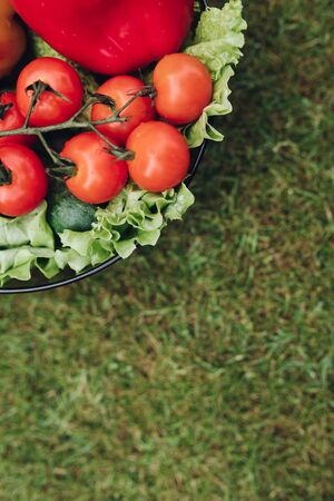 Fresh juicy tomatoes lettuce cucumber in bucket on green summer grass top viewの写真素材