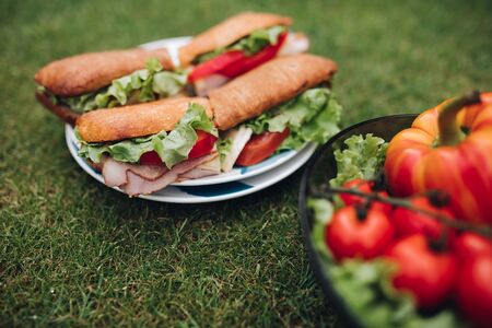 CLose-up of delicious sandwiches with veggies.Bowl of healthy eco veggies on the grass.の写真素材