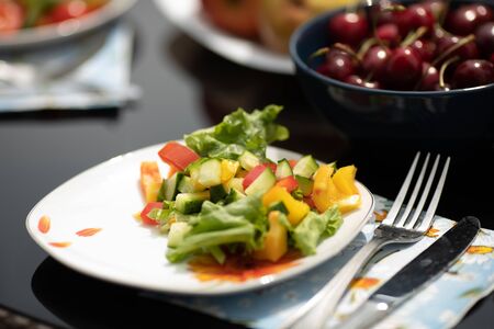 Summer picnic outdoors.Salad served on the plates.の写真素材