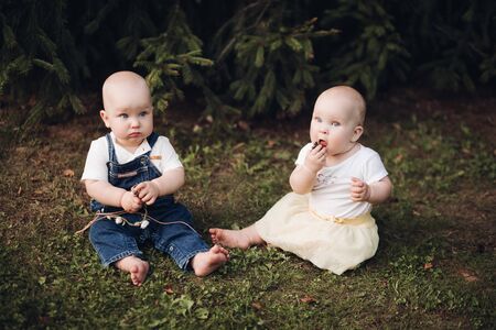 Young babies on the grass in the forest.の写真素材