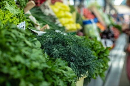 Fresh herbs: dill and parsley. Green grass. Sold on the market dill and parsleyの写真素材