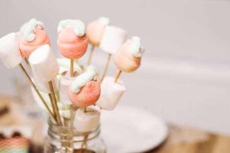 Sweets, vanilla marshmallows and lollipops on sticks for festive dining. Party catering, advertising of confectioneryの写真素材