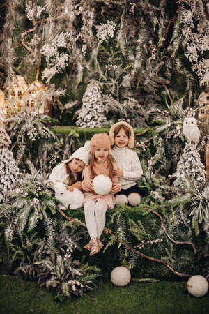 pretty caucasian children pose for the camera in a beautiful christmas decoration and smileの写真素材
