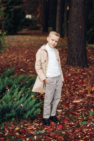 Stylish boy in a coat in autumn in the park, autumn forestの写真素材