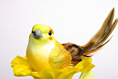 Yellow bird resting on a yellow flowerの写真素材