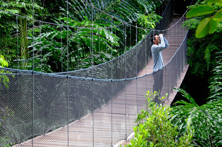 Bird watching in the jungle. One male bird watcher with binoculars stands on a wooden bridge.の写真素材