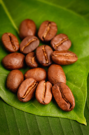 Fair trade organic coffee beans on a green leaf.の写真素材