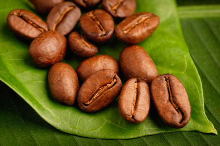 Fair trade organic coffee beans on a green leaf.の写真素材