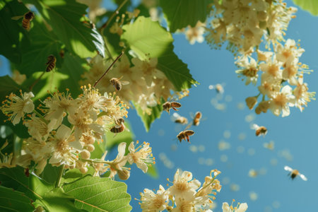 A group of electric blue bees are buzzing around the flowers blooming on a tree branch under the sunny sky. The bees are important pollinators for the flowering plantの素材