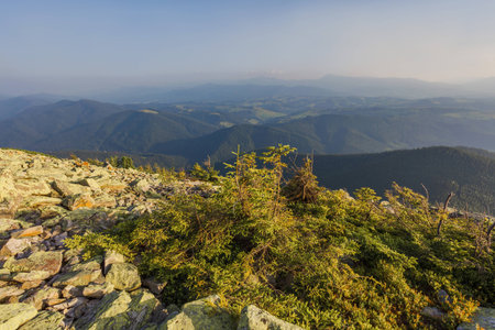 View from the top of the mountain on the bench