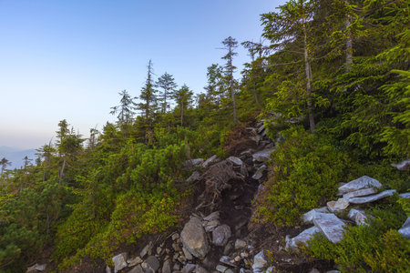 View from the top of the mountain on the benchの写真素材