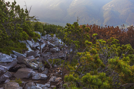 View from the top of the mountain on the benchの写真素材