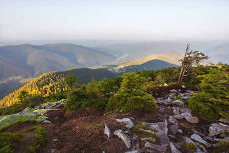 View from the top of the mountain on the benchの写真素材