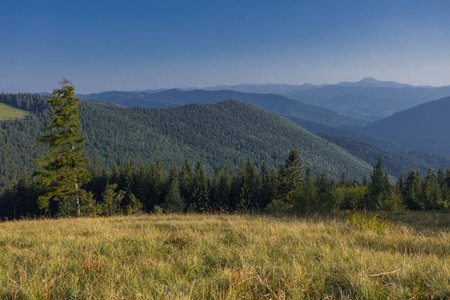 On a sunny summer day, the view from the plateau to the forest and mountains. Blue sky, lots of green grass and trees.の写真素材