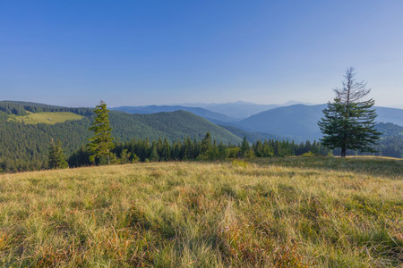 On a sunny summer day, the view from the plateau to the forest and mountains. Blue sky, lots of green grass and trees.の写真素材