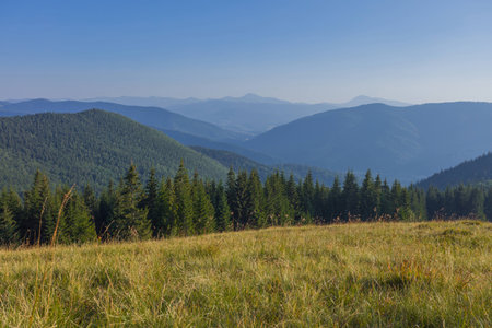 On a sunny summer day, the view from the plateau to the forest and mountains. Blue sky, lots of green grass and trees.の写真素材