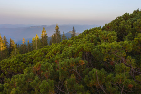 On a summer evening the id from the mountainの写真素材