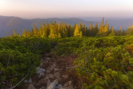 On a summer evening in the id from the mountainの写真素材