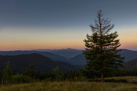 Summer evening after sunset in the Carpathiansの写真素材