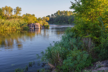 Landscape on the Mihia River. The river is surrounded by trees and herbs. Reeds grow in the river. Ukraine, Pervomaisk.の写真素材