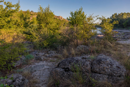 View of large stones. Around are many deciduous trees. Warm morning. Summer.の写真素材