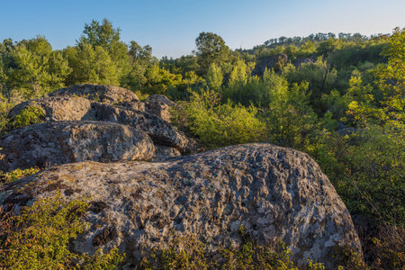 View of large stones. Around are many deciduous trees. Warm morning. Summer.の写真素材