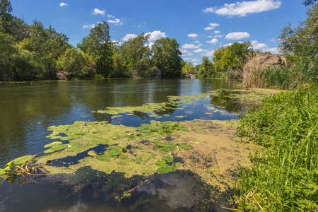 Landscape on the Mihia River. The river is surrounded by trees and herbs. Reeds grow in the river. Ukraine, Pervomaisk.の写真素材