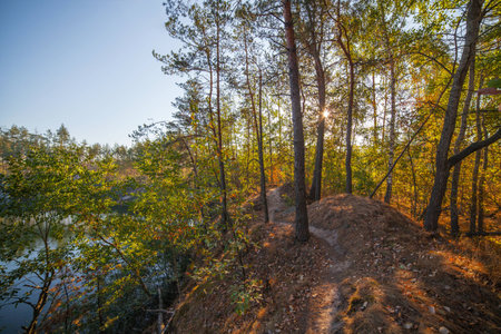 Trees on the shore of a beautiful quarry with clear water. Tall stone. Ukraine.の写真素材