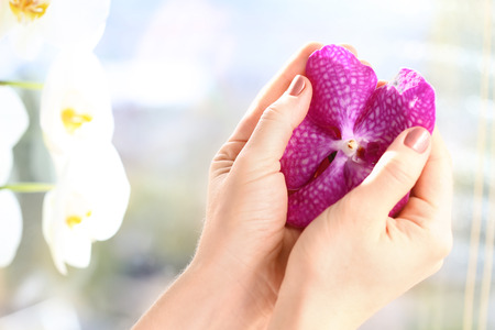 The hand of a girl with a beautiful manicure holds a sheet of orchid. Finger care. Beauty and health of female hands. Preparation, template for the spa.の写真素材